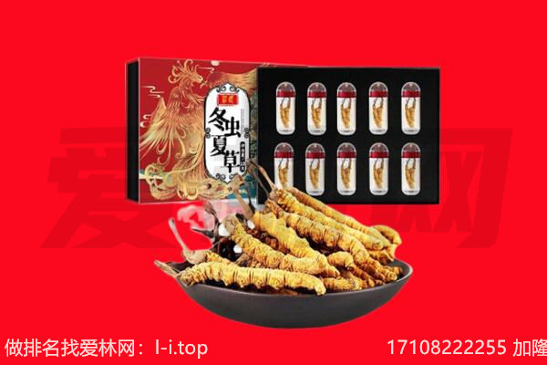 重庆市涪陵回收虫草.jpg